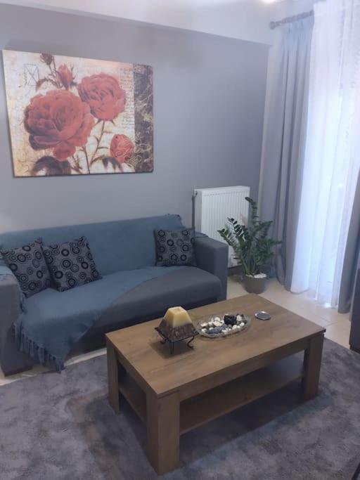 Apartament Χαίρε, Ξεΐνε, Παρ' Αμμι Φιλησεαι Tríkala Zewnętrze zdjęcie