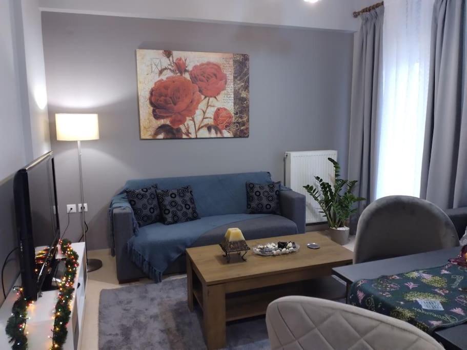 Apartament Χαίρε, Ξεΐνε, Παρ' Αμμι Φιλησεαι Tríkala Zewnętrze zdjęcie